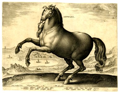 Appulus (BM 1957,0413.180)