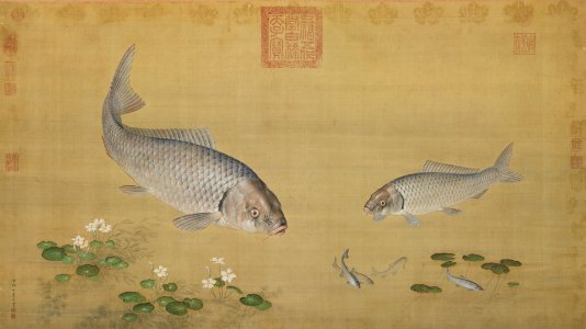 Aquatic Plants and Fish