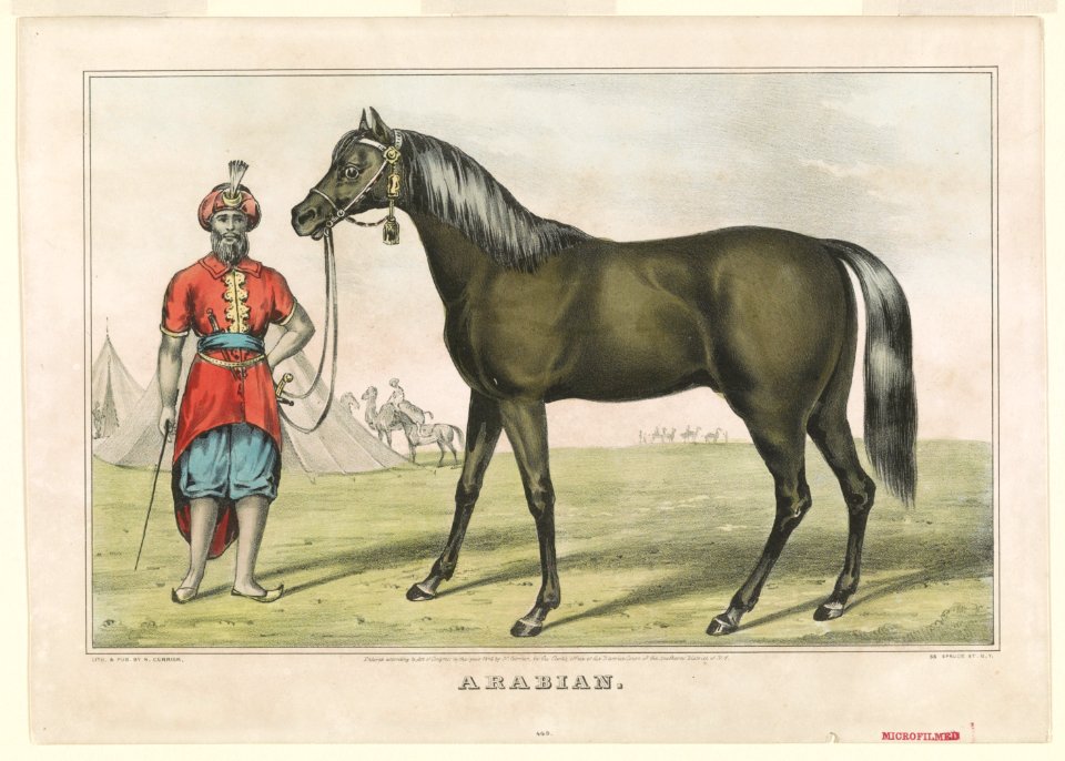 Arabian LCCN90708664