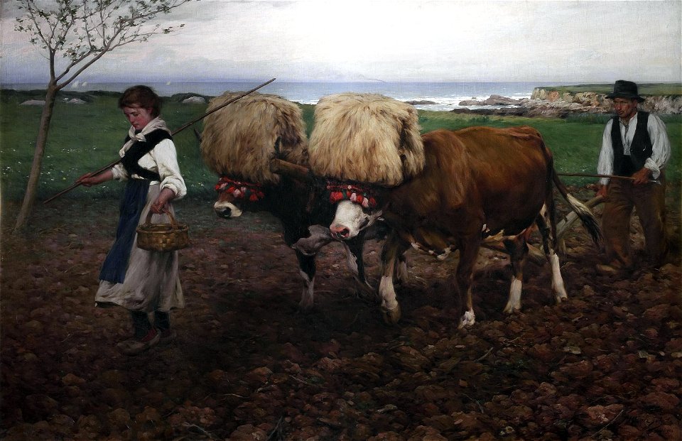 Arando la tierra (Asturias), por Ventura Álvarez