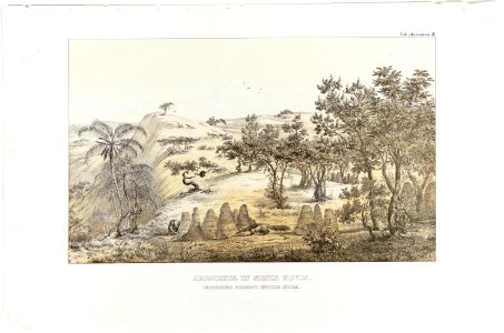 Arboreta in Minis Novis, taboleiro coberto incolis dicta, da Coleção Brasiliana Iconográfica