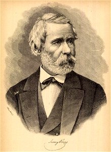 Arany János portréja (Pollák Zsigmond, 1887)