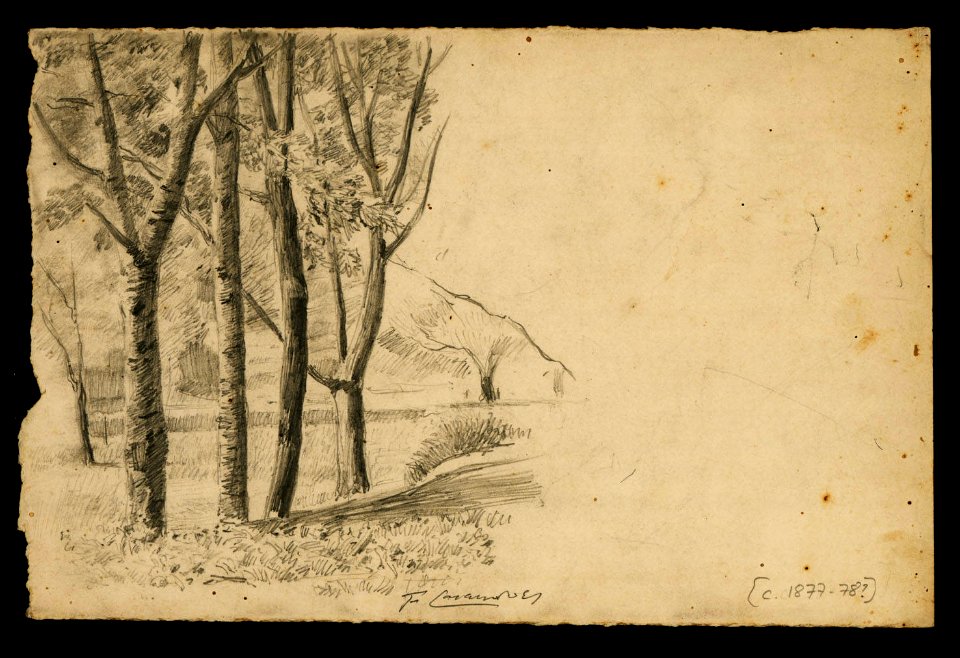 Arbres (XXIII Casanovas B 15)