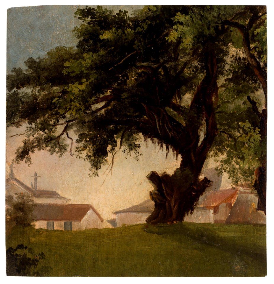 Arbres géants & Caserne, da Coleção Brasiliana Iconográfica