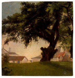 Arbres géants & Caserne, da Coleção Brasiliana Iconográfica