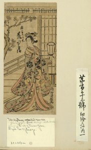 Arashi hinaji no jōrurigozen LCCN2009615207