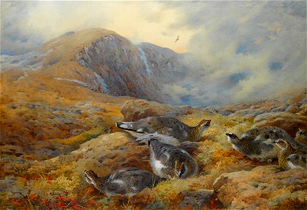 Archibald Thorburn Danger aloft - Ptarmigan 1927