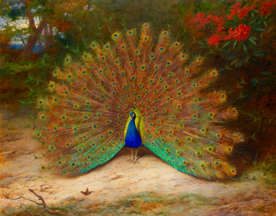 Archibald Thorburn, Peacock and Peacock Butterfly, At 87.5 x 111.5cm. Bonhams.