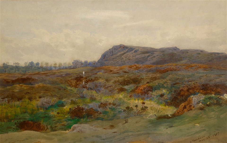 Archibald Thorburn Moorland landscape 1897