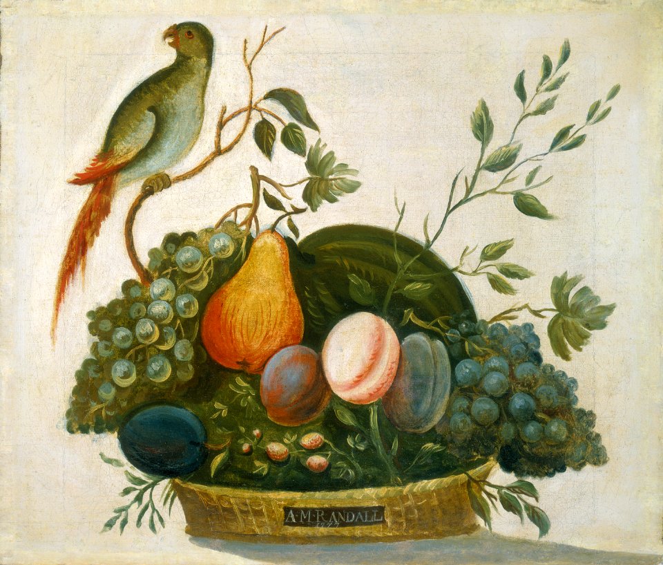 Basket of Fruit with Parrot E11564