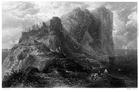 Bass Rock, East Lothian engraving by William Miller after J Thomson