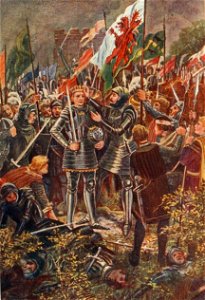 Battle of Bosworth Field