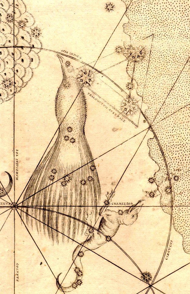 BayerUran1661apuschamtri