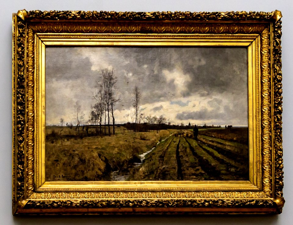 Baum-Weg nach Niedergrunstedt DSC8849