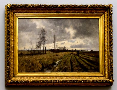 Baum-Weg nach Niedergrunstedt DSC8849