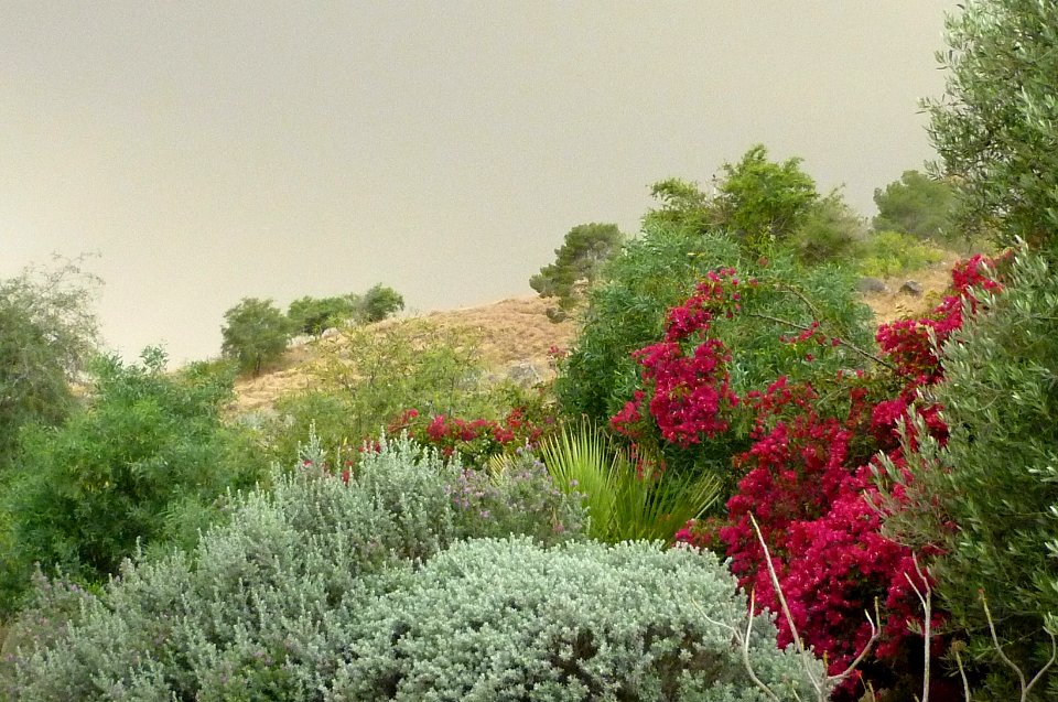 Tell el-Oreme (Kinneret) von Osten