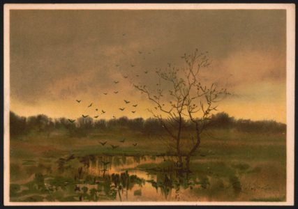 A marsh twilight - Louis K. Harlow ; by Louis K. Harlow. LCCN2016652348