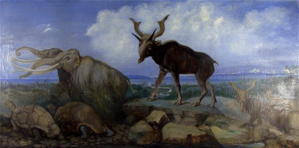 Benjamin Waterhouse Hawkins Pleistocene Fauna of Asia