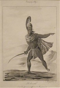 Aniheneho. L'un des Premiers Officiers de Tahmahamah pen and ink wash over graphite by Jacques Arago, 1819, Honolulu Academy of Arts