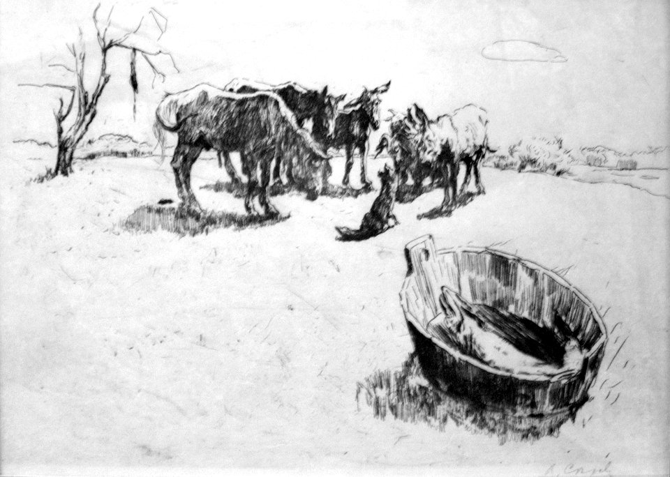 1896 Serow Hecht anagoria