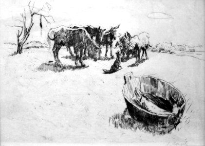 1896 Serow Hecht anagoria