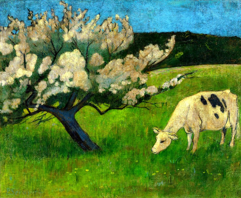 Sérusier White cow