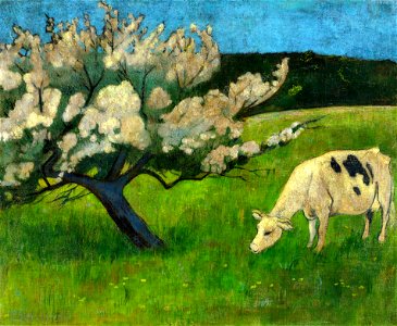 Sérusier White cow