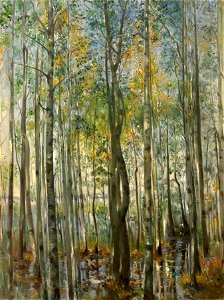 Corinth Forest