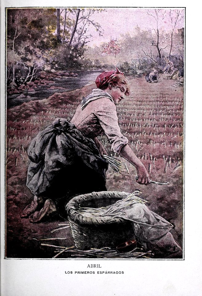 1899-01-01, Blanco y Negro, Abril, Los primeros espárragos, Méndez Bringa