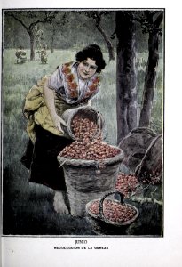 1899-01-01, Blanco y Negro, Junio, Recolección de la cereza, Méndez Bringa