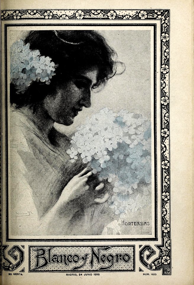 1899-06-24, Blanco y Negro, Hortensias, Cecilio Pla, Arija