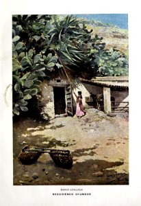 1901-06-22, Blanco y Negro, Recogiendo chumbos, García y Rodríguez