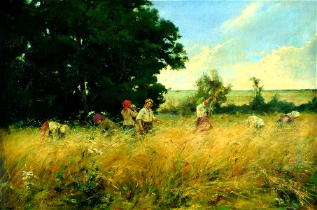 Kazimierz Alchimowicz - Żniwa 1902