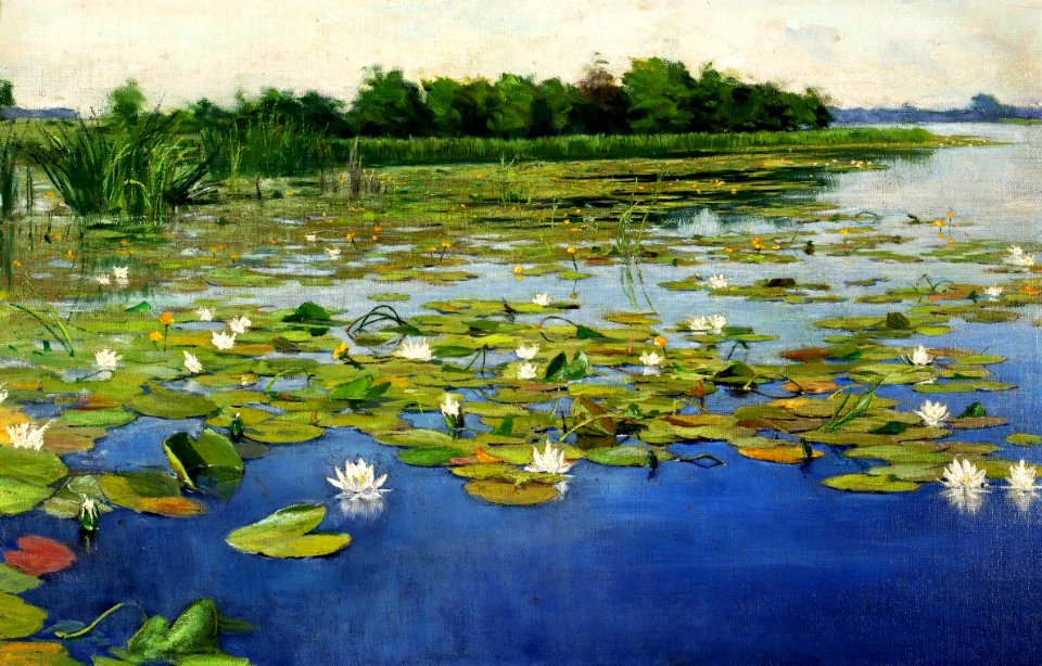 Weyssenhoff Water lilies