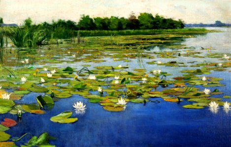 Weyssenhoff Water lilies