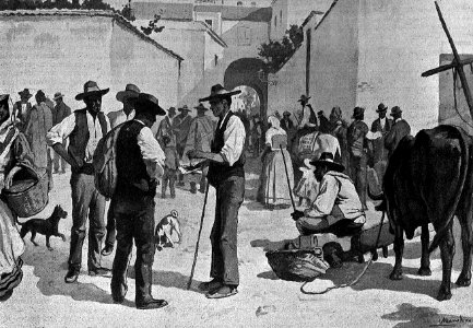 1902-11-17, La Ilustración Artística, El mercado del pimentón en Murcia, Medina Vera