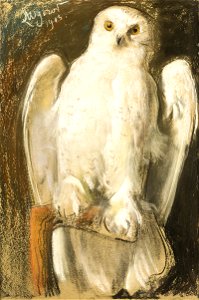 Leon Wyczółkowski - Sowa 1905