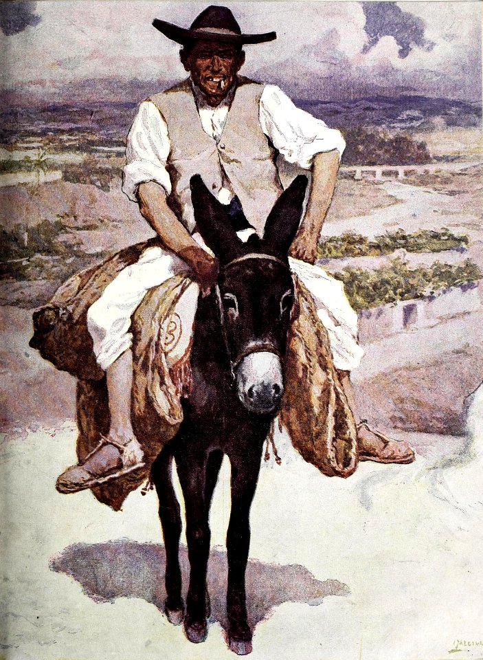 1907-03-16, Blanco y Negro, Murcia, Del mercado, Medina Vera (cropped)