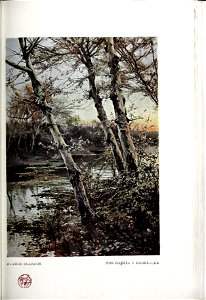 1906-06-23, Blanco y Negro, Álamos Blancos, García y Rodríguez