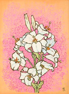Gisbert Combaz - Study of flowers3