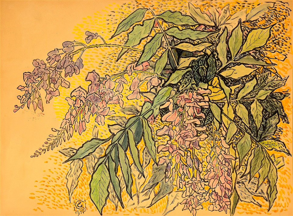 Gisbert Combaz - Wisteria