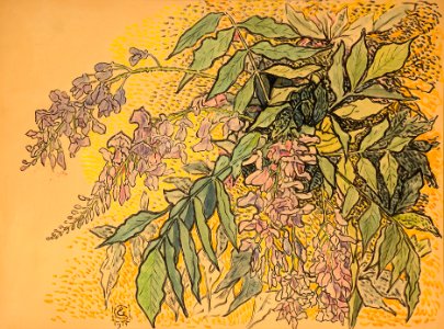 Gisbert Combaz - Wisteria. Free illustration for personal and commercial use.