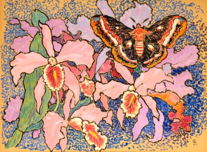 Gisbert Combaz - Orchids and an Emperor Moth. Free illustration for personal and commercial use.