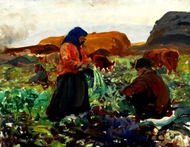 Leon Wyczółkowski, Beet Harvest II