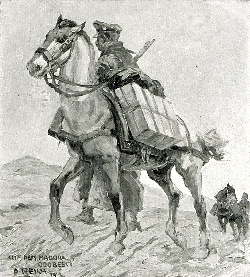 1916 - Albert Reich - Magura Odobestilor, militari germani pe pozitie, ianuarie 1917 p72