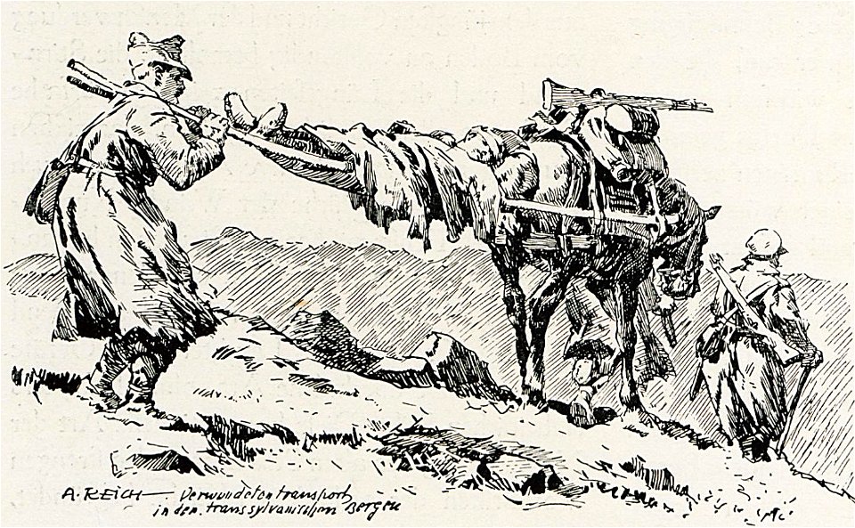 1916 - Albert Reich - Muntii Fagaras, transportul unui ranit pe munte p36