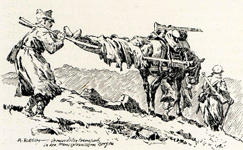 1916 - Albert Reich - Muntii Fagaras, transportul unui ranit pe munte p36