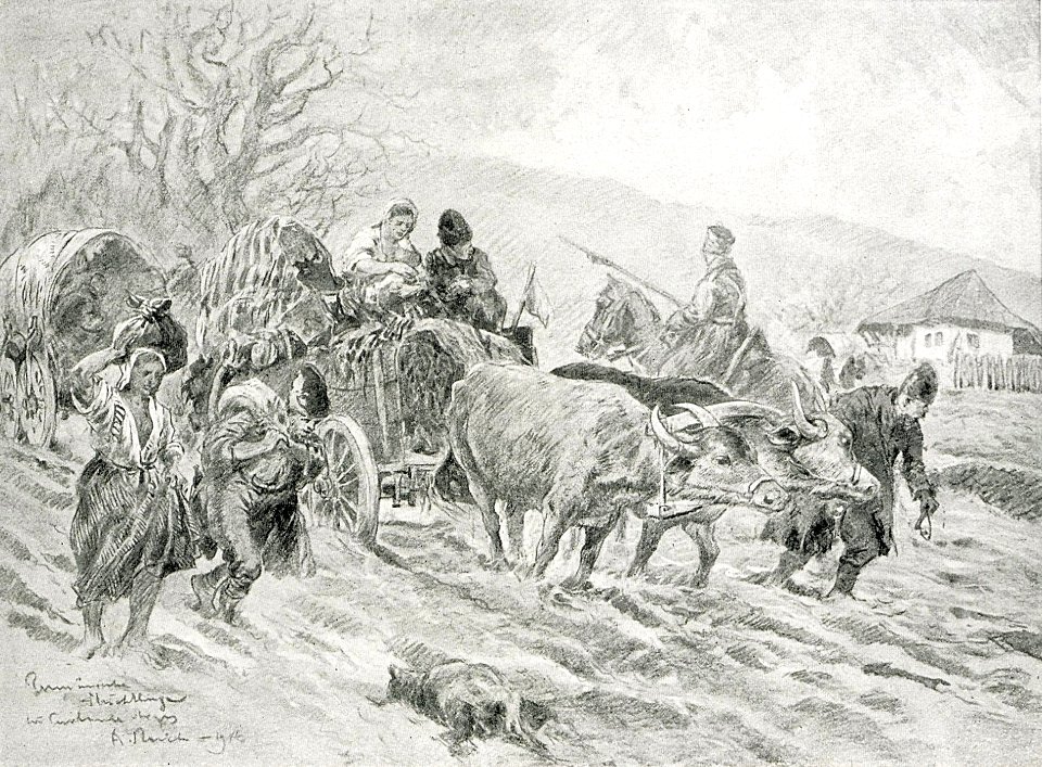 1916 - Albert Reich - generic, refugiati romani p37