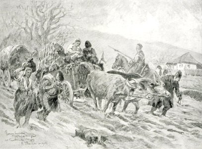 1916 - Albert Reich - generic, refugiati romani p37