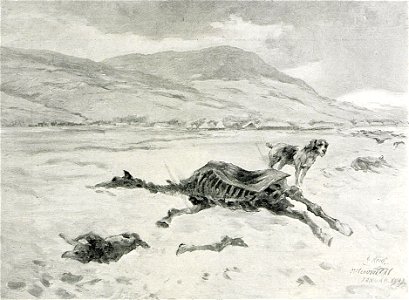 1916 - Albert Reich - Vrancea, iarna 1916-1917 in valea Milcovului p66